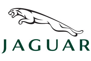 Jaguar Detailing